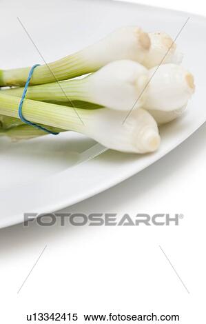 Stock Photography - Close-up of a bunch of spring onions in plate over white background. Fotosearch