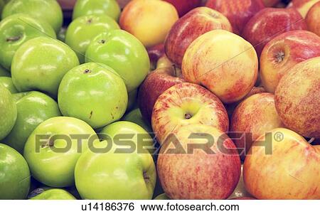 Close-up of apples on display in market View Large Photo Image Stock Photograph - Close-up of apples on display in market. Fotosearch