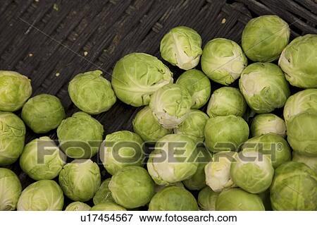 Stock Photo - Close-up of cabbages on display in market. Fotosearch