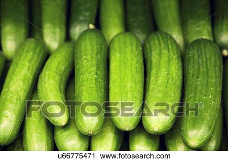 Stock Image - Close-up of cucumbers. Fotosearch
