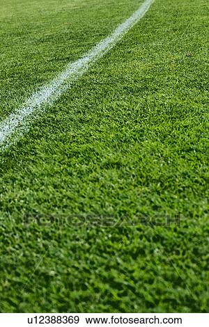 Close up of football pitch in stadium View Large Photo Image Stock Photo - Close up of football pitch in stadium. Fotosearch