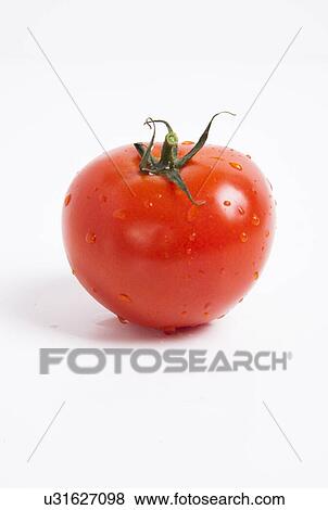 Stock Photo - Close-up of fresh red tomato with water droplets over white background. Fotosearch