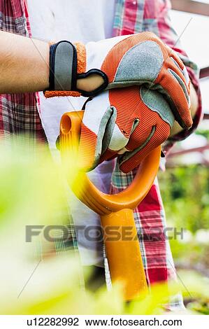 Close up of gardener wearing gloves while holding shovel in garden shop View Large Photo Image Stock Image - Close up of gardener wearing gloves while holding shovel in garden shop. Fotosearch