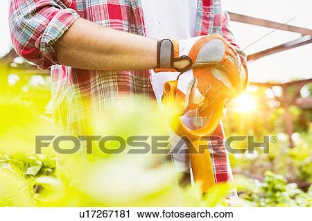 Close up of gardener wearing gloves while holding shovel in garden shop View Large Photo Image Stock Image - Close up of gardener wearing gloves while holding shovel in garden shop. Fotosearch