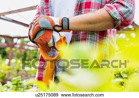 Stock Photo - Close up of gardener wearing gloves while holding shovel in garden shop. Fotosearch