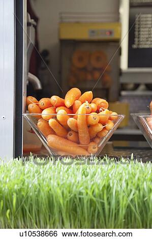 Stock Photograph - Close-up of grass with container full of carrots. Fotosearch