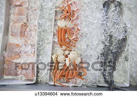 Close-up of mixed fish in ice at market View Large Photo Image Picture - Close-up of mixed fish in ice at market. Fotosearch