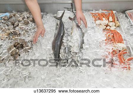 Stock Photography - Close-up of mixed fish in ice at market. Fotosearch