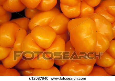 Close-up of orange bell pepper View Large Photo Image Stock Image - Close-up of orange bell pepper. Fotosearch
