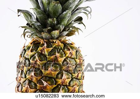 Close up of Pineapple View Large Photo Image Stock Image - Close up of Pineapple. Fotosearch