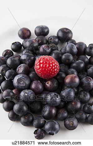 Close-up of raspberry over blueberries against white background View Large Photo Image Stock Image - Close-up of raspberry over blueberries against white background. Fotosearch
