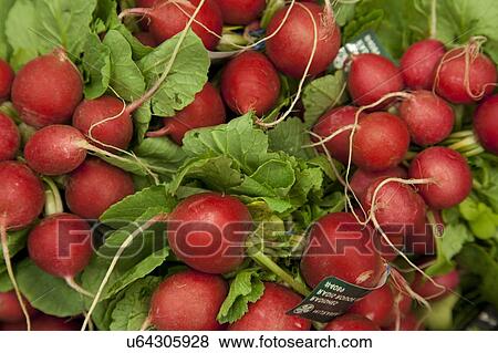 Stock Photo - Close-up of raw radish on display in market. Fotosearch