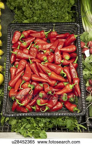 Close-up of red chili pepper in market View Large Photo Image Stock Photography - Close-up of red chili pepper in market. Fotosearch