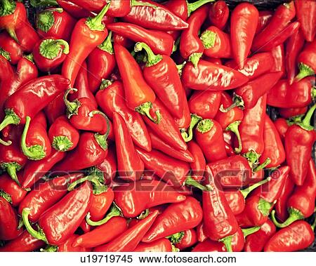Close-up of red chili peppers View Large Photo Image Stock Photography - Close-up of red chili peppers. Fotosearch