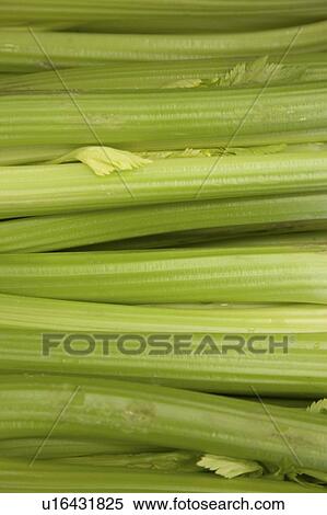 Stock Photography - Close-up of spring onions. Fotosearch