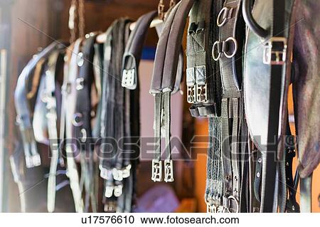 Stock Image - Close up photo of horse girth. Fotosearch