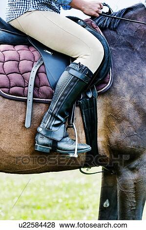 Close up photo of mature woman riding horse in ranch View Large Photo Image Stock Photo - Close up photo of mature woman riding horse in ranch. Fotosearch