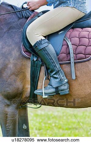 Close up photo of mature woman riding horse in ranch View Large Photo Image Stock Photography - Close up photo of mature woman riding horse in ranch. Fotosearch