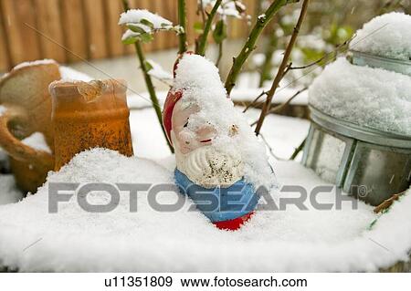 Close-up view of Garden gnome covered in snow View Large Photo Image Stock Photo - Close-up view of Garden gnome covered in snow. Fotosearch