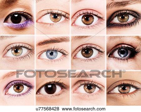 Composite grid of twelve young women, close-ups of one eye View Large Photo Image Stock Photo - Composite grid of twelve young women, close-ups of one eye. Fotosearch