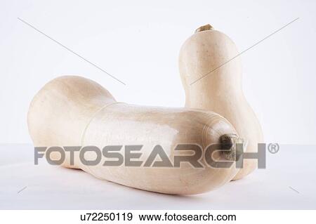 Condom on butternut pumpkin over white background View Large Photo Image Stock Photo - Condom on butternut pumpkin over white background. Fotosearch
