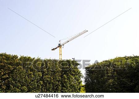 Stock Photograph - Crane appearing over Green hedges. Fotosearch