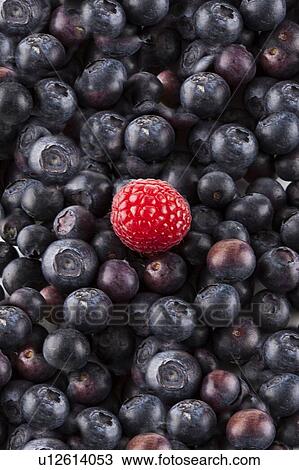 Detail shot of blueberries and raspberry View Large Photo Image Stock Image - Detail shot of blueberries and raspberry. Fotosearch