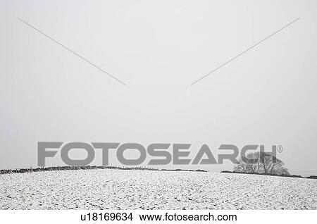 Distant view of snowy fields View Large Photo Image Picture - Distant view of snowy fields. Fotosearch