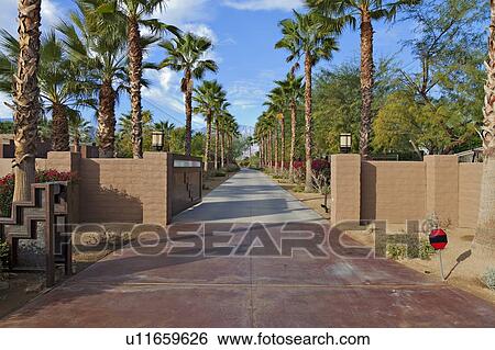 Empty Private Road lined with Palm trees. View Large Photo Image Stock Photograph - Empty Private Road lined with Palm trees.. Fotosearch
