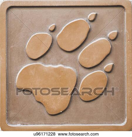Stock Photo - Engraving of lion footprint. Fotosearch