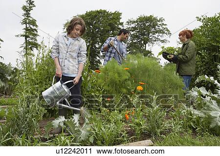 Stock Image - Family Farm. Fotosearch
