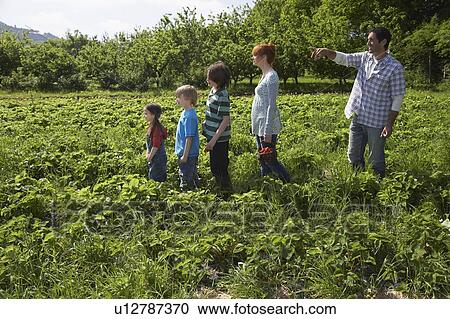 Stock Image - Family Farm. Fotosearch