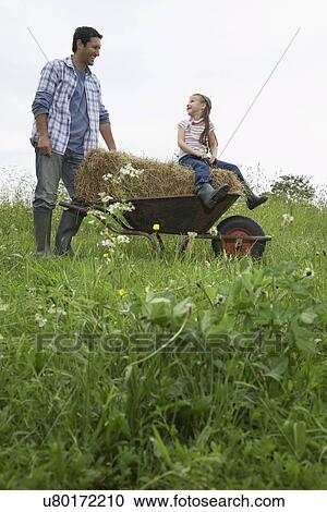 Family Farm View Large Photo Image Stock Image - Family Farm. Fotosearch