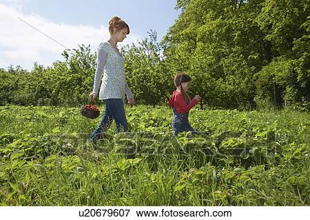 Stock Photo - Family Farm. Fotosearch