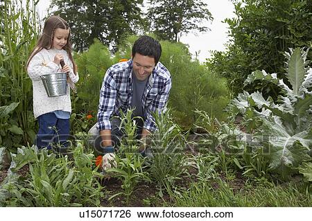 Stock Photograph - Family Farm. Fotosearch