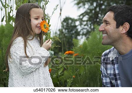Family Farm View Large Photo Image Stock Photograph - Family Farm. Fotosearch