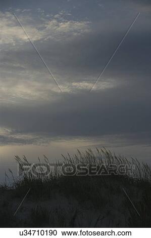 Family holiday View Large Photo Image Stock Image - Family holiday. Fotosearch