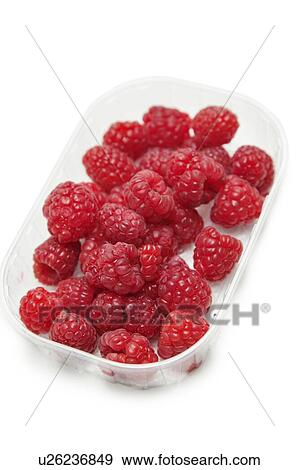 Stock Photo - Fresh raspberries in a container against white background. Fotosearch