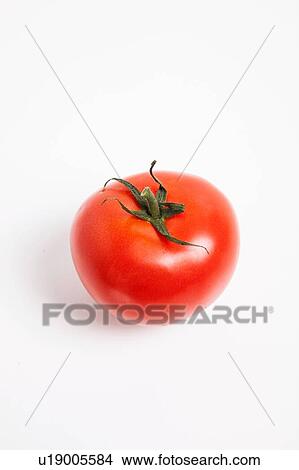 Fresh Tomato View Large Photo Image Picture - Fresh Tomato. Fotosearch