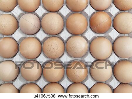 Full-Frame shot of brown eggs arranged in carton View Large Photo Image Stock Photo - Full-Frame shot of brown eggs arranged in carton. Fotosearch