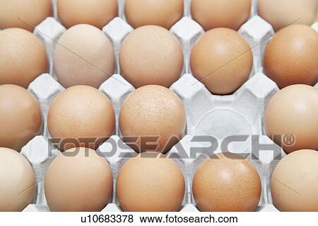 Full-frame shot of brown eggs in carton with empty block View Large Photo Image Stock Photo - Full-frame shot of brown eggs in carton with empty block. Fotosearch