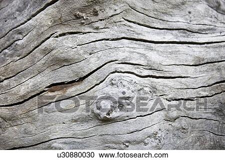 Stock Image - Full frame shot of cracked wood. Fotosearch