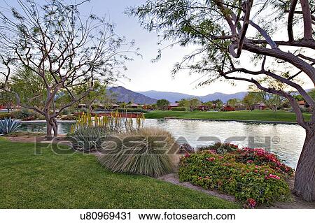 Garden near pond View Large Photo Image Stock Image - Garden near pond. Fotosearch