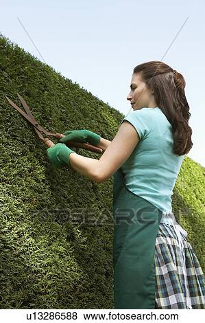 GARDENING View Large Photo Image Stock Photo - GARDENING. Fotosearch