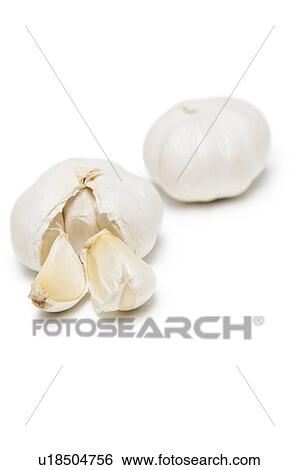 Garlic over white background View Large Photo Image Stock Photograph - Garlic over white background. Fotosearch