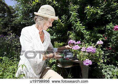 Stock Photograph - Happy senior woman gardening in backyard. Fotosearch