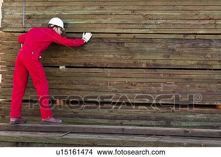 Picture - Hispanic worker inspecting timber wooden planks. Fotosearch