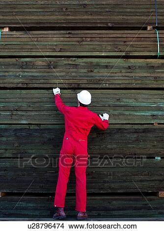 Hispanic worker inspecting timber wooden planks View Large Photo Image Picture - Hispanic worker inspecting timber wooden planks. Fotosearch
