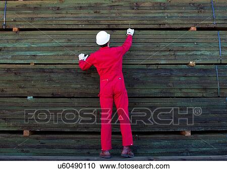 Hispanic worker inspecting timber wooden planks View Large Photo Image Stock Image - Hispanic worker inspecting timber wooden planks. Fotosearch