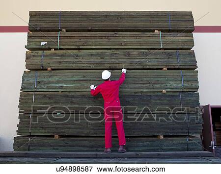 Stock Photo - Hispanic worker inspecting timber wooden planks. Fotosearch